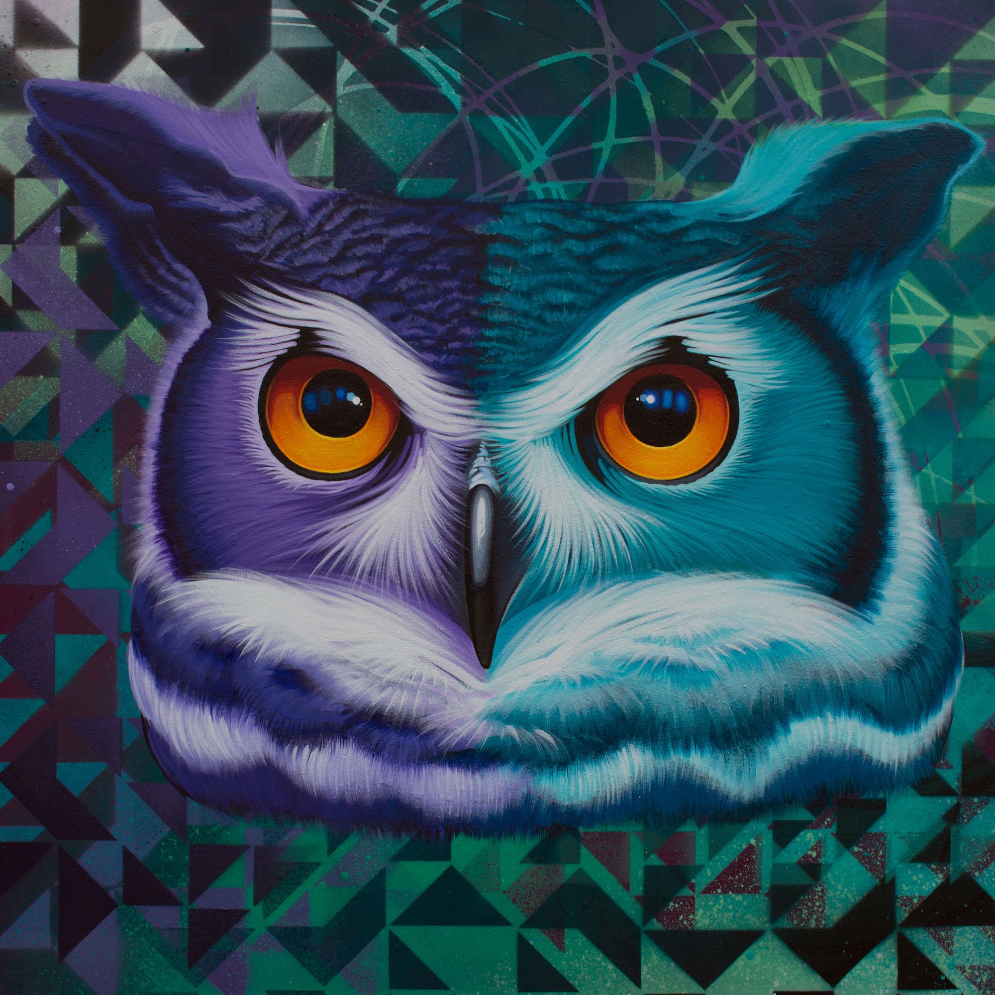 OLLIE | canvas print