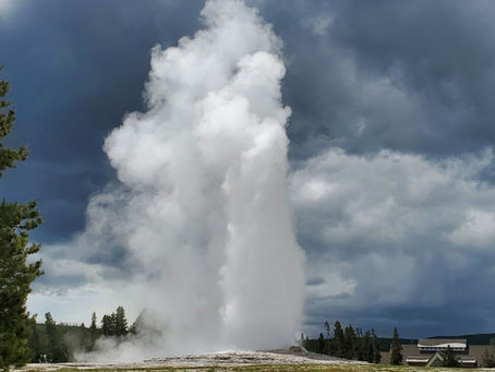 Summer Yellowstone Tour Sale & Fall Discounts