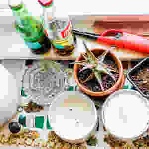 Picture of two oil containers, and a red lighter, with a succulent, two candles, and an ashtray. A diffuser sits on top of a canvas art piece with weed strains on it.