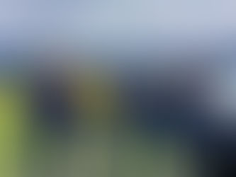 Betschart ärgert in Untervaz den Schwingerkönig und wird Dritter