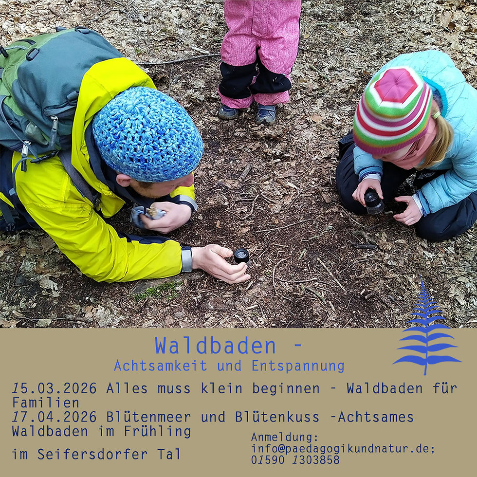 Waldbaden im Frühling – achtsam die Natur mit allen Sinnen erleben