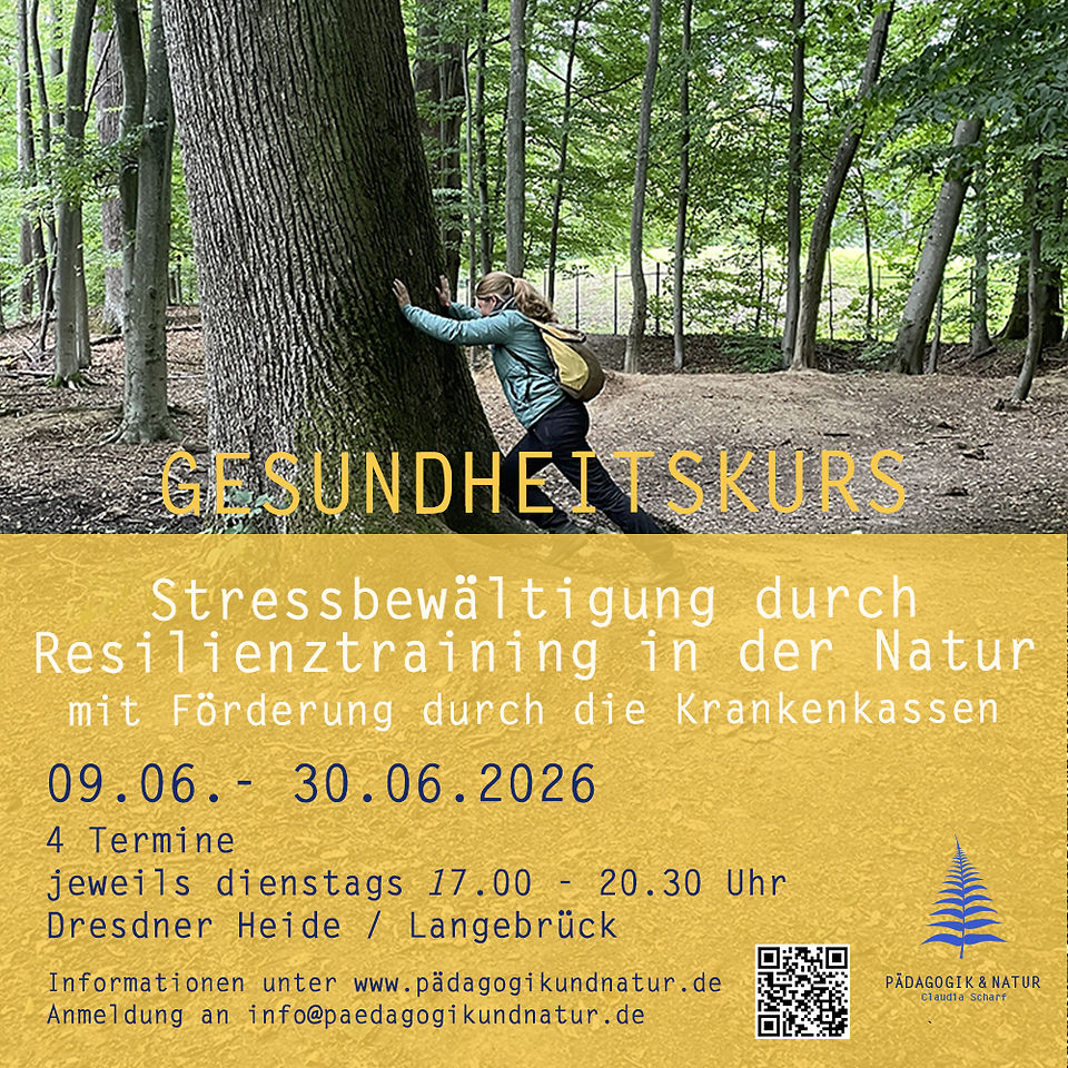 Frau schiebt Baum weg - Resilienztraining 