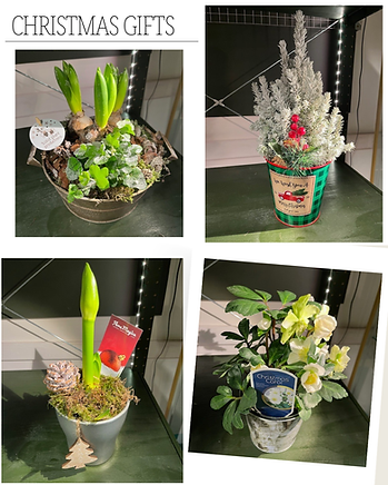 Beige Aesthetic Moodboard Photo Collage Instagram Post.png