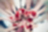 Mädchenkreis Rosenblüten