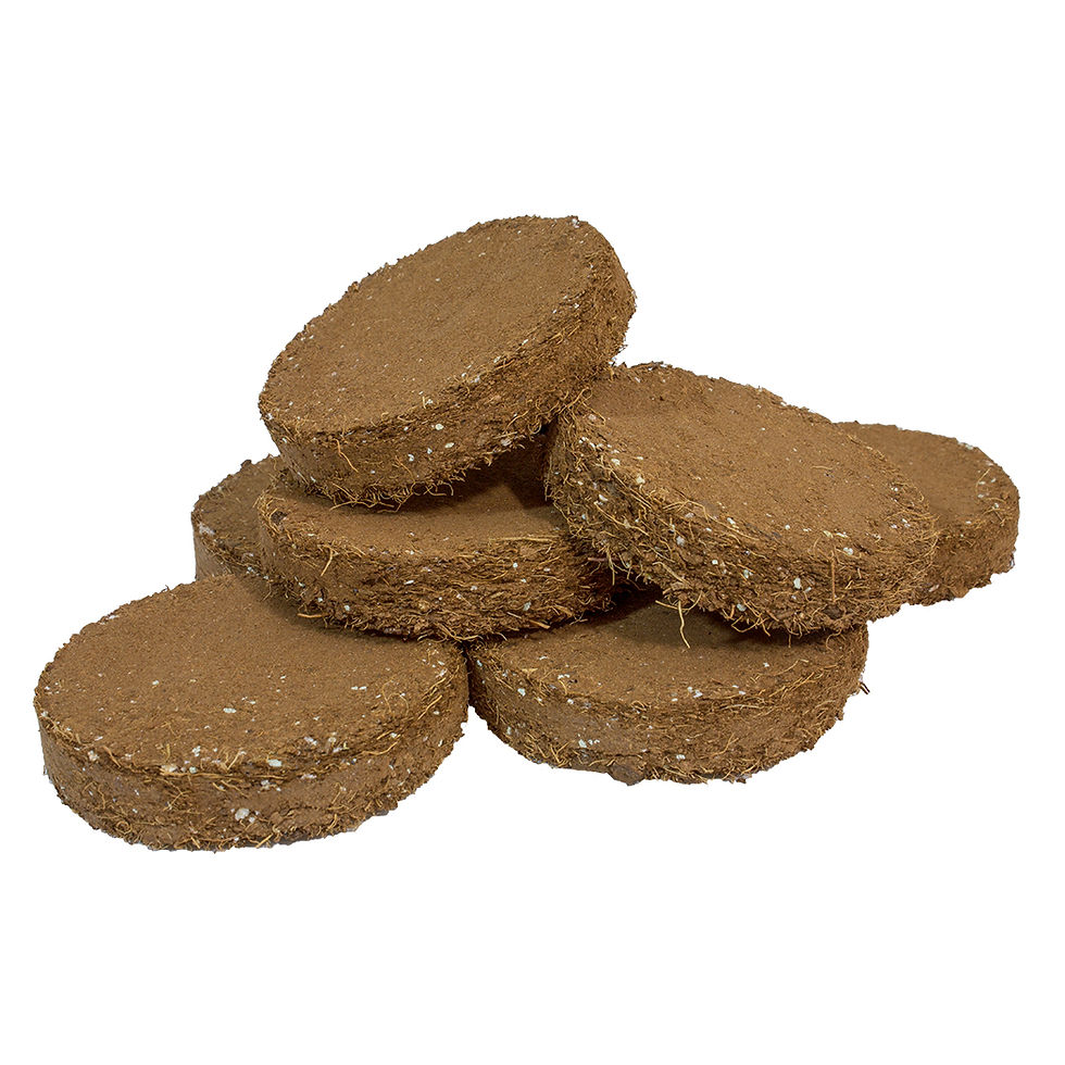 Thumbnail: ROOT!T Potting Biscuit - Pack of 20