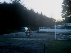Wheels