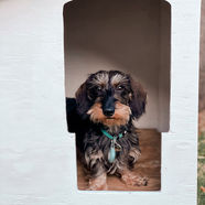 L'élevage de Raymond