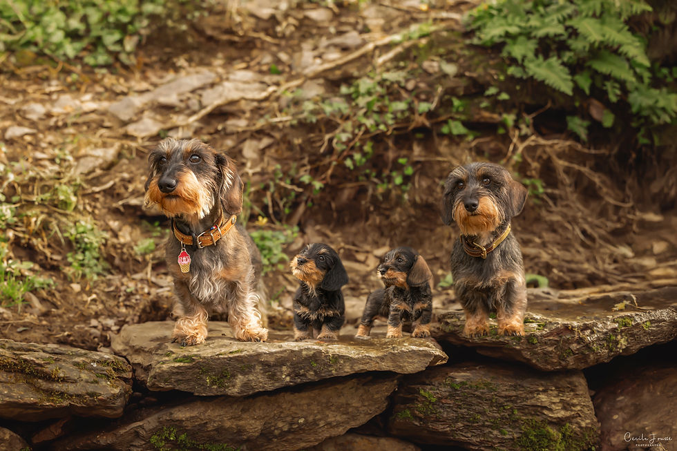 Raymond est Papa : retour sur une aventure inoubliable