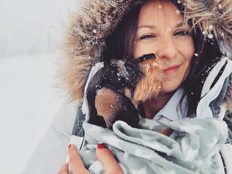 Pourquoi les chiens nous lèchent-ils ?