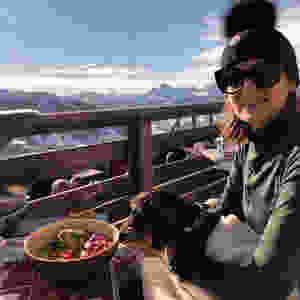 Aller Au Restaurant Avec Son Chien Mode D Emploi