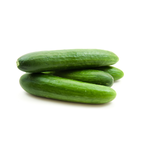 कॉपी ऑफ कॉपी ऑफ कॉपी ऑफ एक्सेसरी विद ट ाइमर (9).png