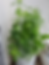 20250203_111006.heic
