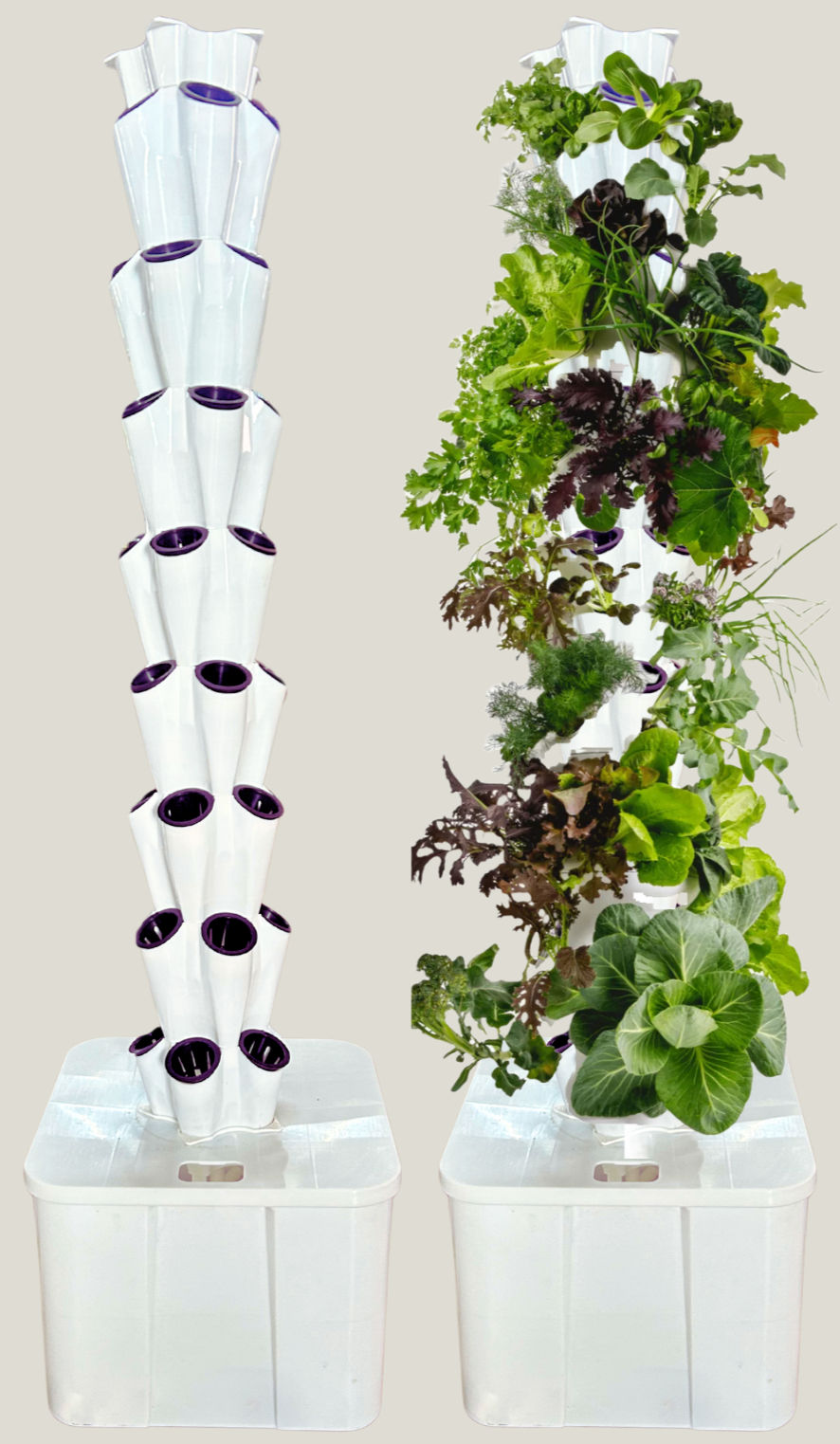 Untitled design (2)_edited.jpg