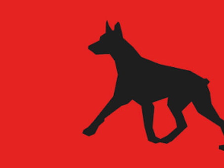 PERRO NEGRO LANZA SU PROPIO SELLO DE REGGAETÓN