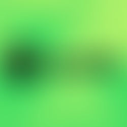 Staggering Statistic: Only 20% of Artists Get Over 1,000 Monthly Streams on Spotify