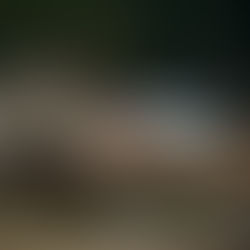 A red barn surrounded by debris and branches, with mist rising from the ground.