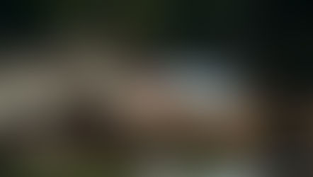 A red barn surrounded by debris and branches, with mist rising from the ground.