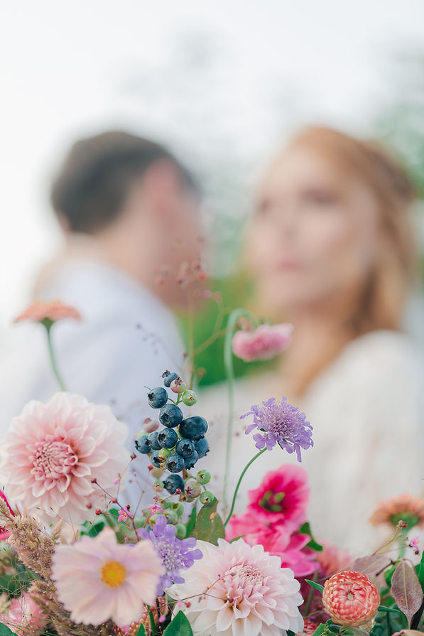 BlueberrySS (286 of 470).jpg