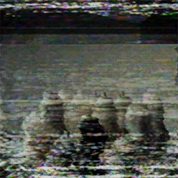 X56.gif