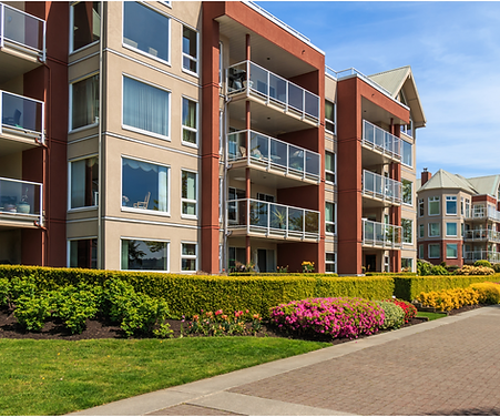 Untitled design (7).png