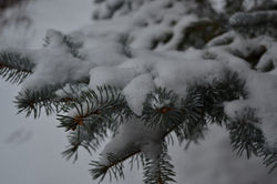 DSC_0150