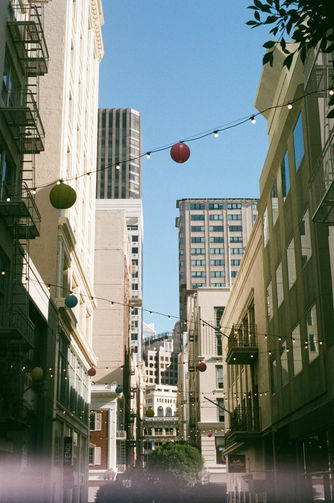 E7072368-C6C9-45AF-9C67-F0994B0EC075_1_201_a.jpeg