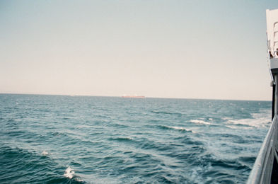 CA6893FA-D3B9-4FFD-80A1-753D6090B411_1_201_a.jpeg