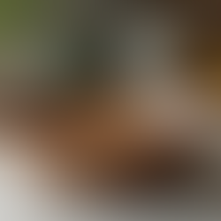 How to Choose Safe Wooden Bowls Canada