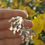 Thumbnail: Boucles d'oreilles - Alga