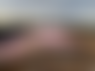 Construction site with pink insulation laid on wooden frame, surrounded by fences and trees under a cloudy sky at sunset.