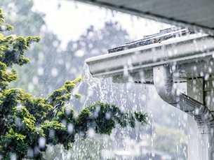 Rain pours heavily from a house's gutter onto a green tree. The background is blurred, creating a dynamic and fresh setting.