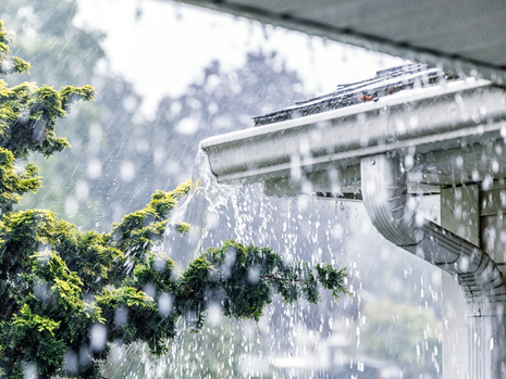 Rain pours heavily from a house's gutter onto a green tree. The background is blurred, creating a dynamic and fresh setting.
