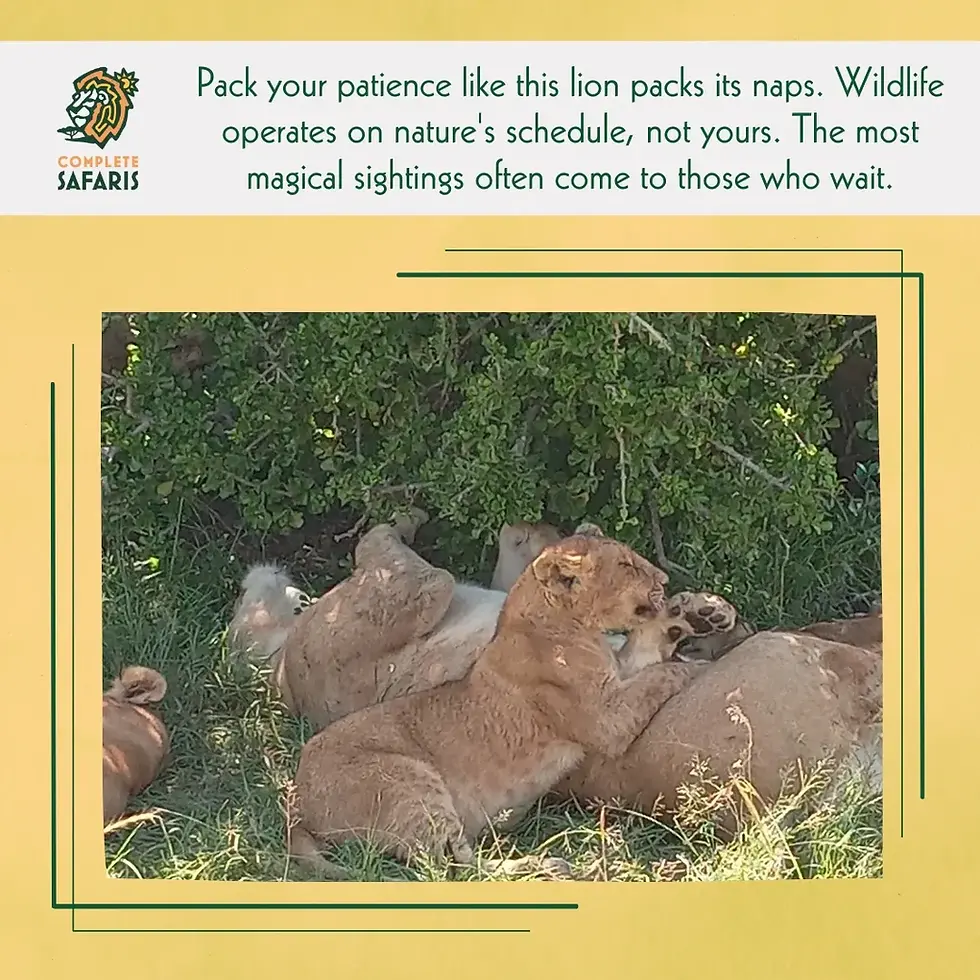 Pack your patience like a lion packs its naps—wildlife operates on nature's schedule, not yours.