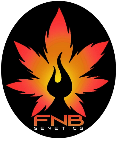 fnblogoblack.png