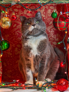 Pixel and Friends Digit