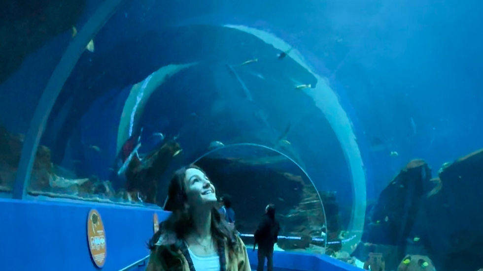 a girl looking at aquarium tunnel