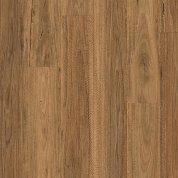 Spotted Gum IM4446