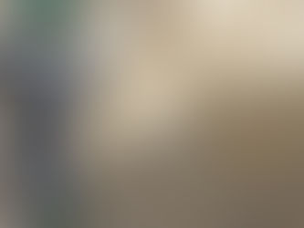 Wie kommt der Esel ins Bild?
