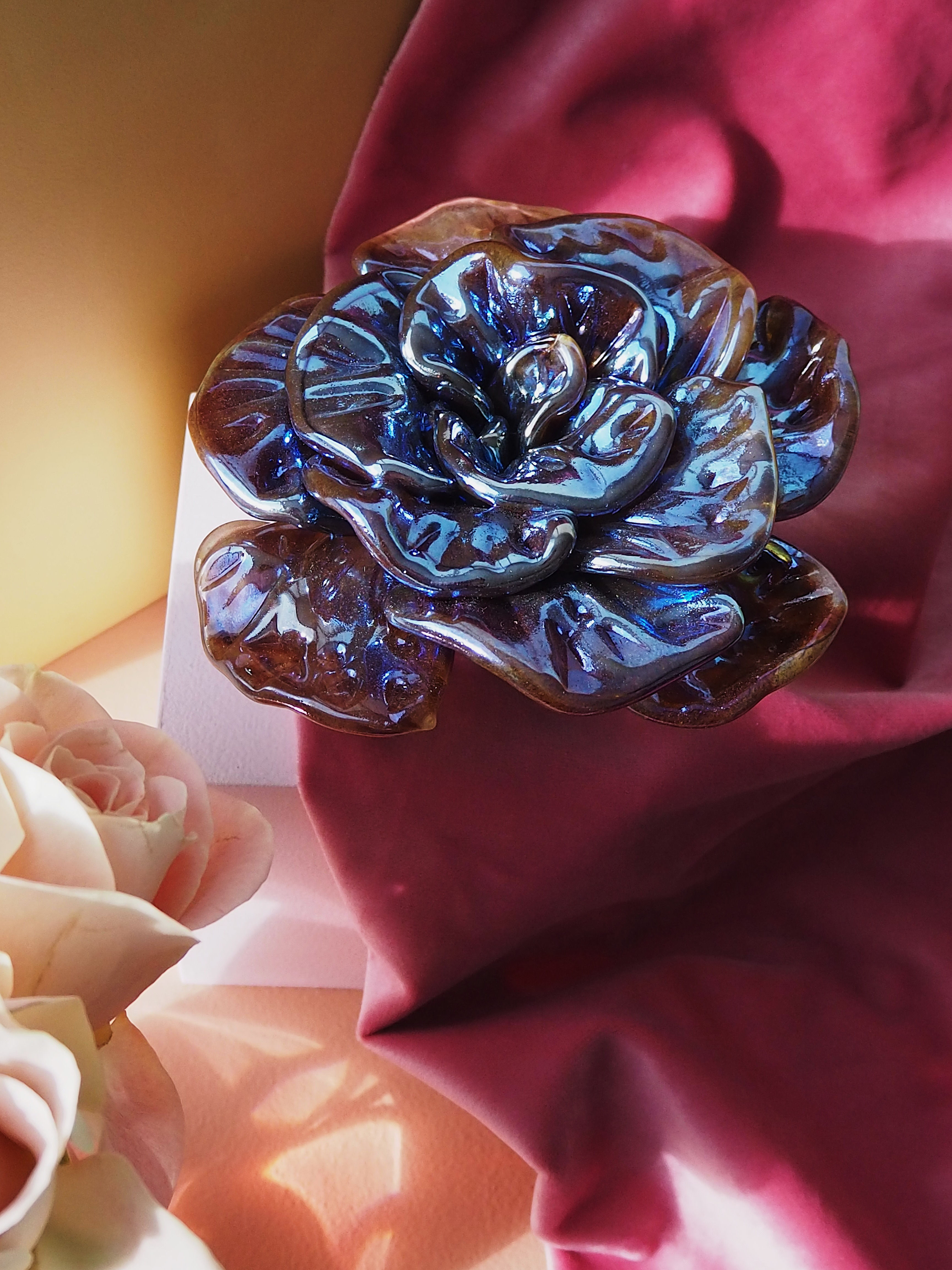 Rose in Bloom in Barbarosa