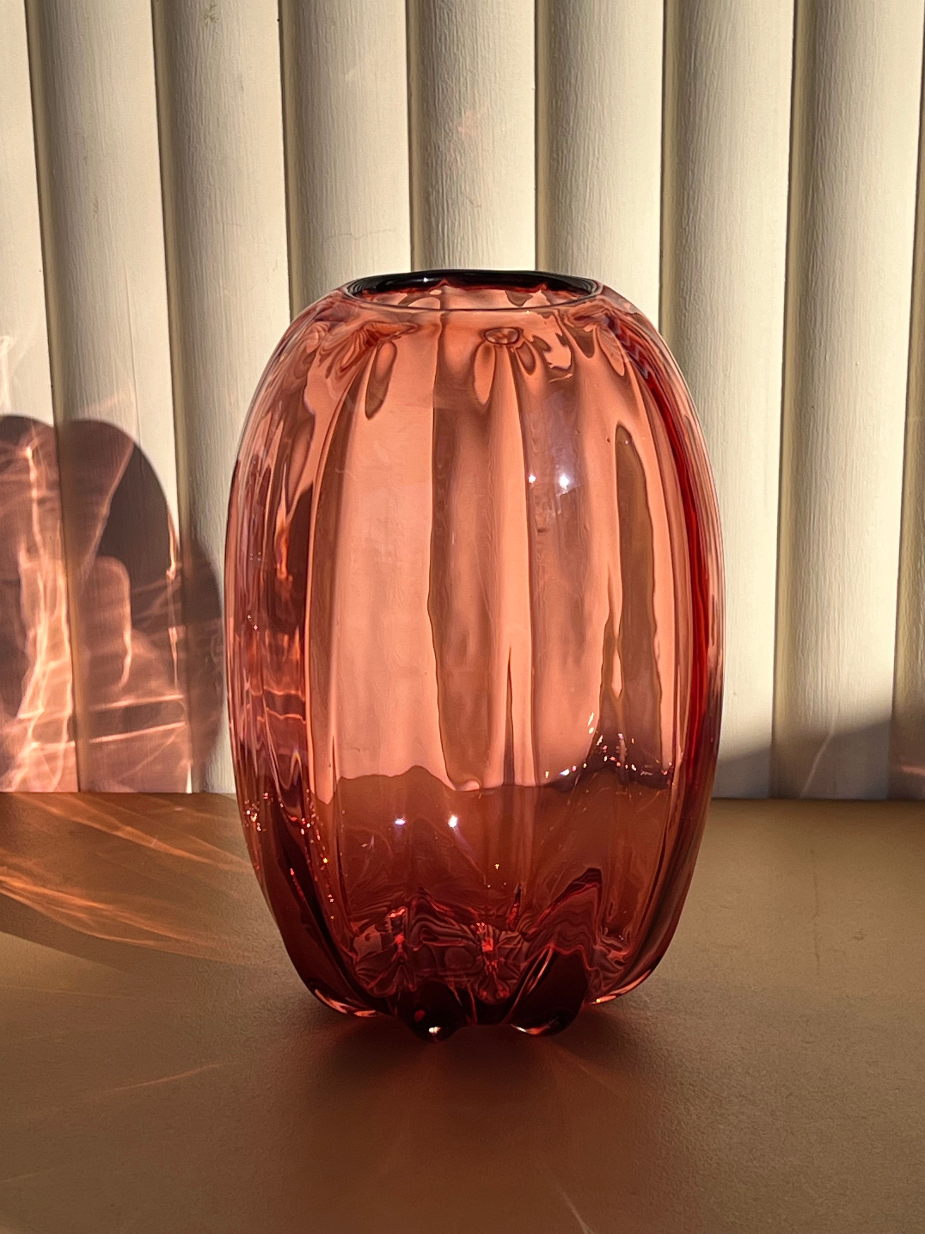 Urchin in Morning Red