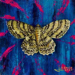 Vortex - Varnished.jpg