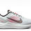 Miniatura: NIKE WINFLO 9