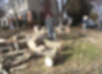 Experts at remove trees and leave clean surface.