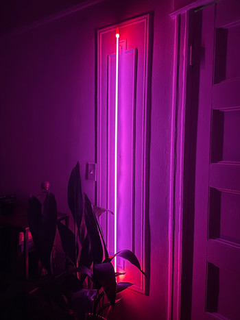 IMG-3169.jpeg