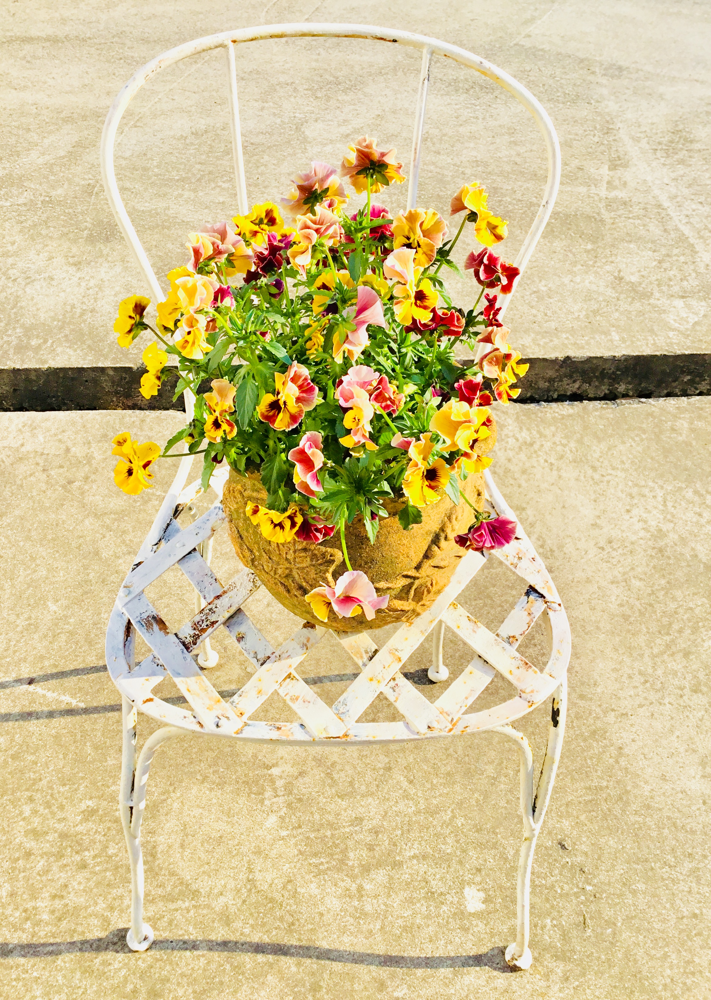 Iron mini chair