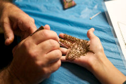 Henna Hangout Toronto 2017
