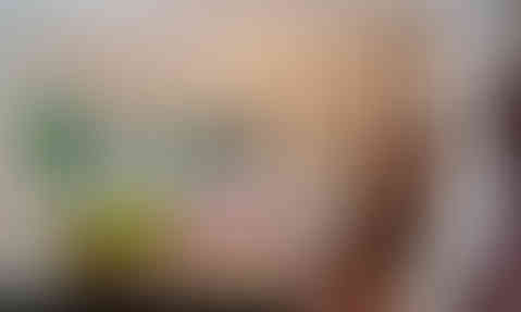 Cheek04.jpg