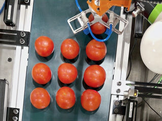 The Growing Demand for Smart Inspection Systems