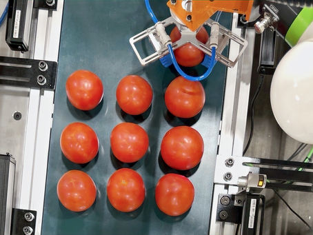 The Growing Demand for Smart Inspection Systems