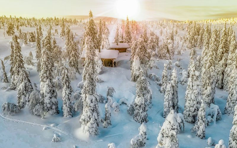 Winter Activities in Finland